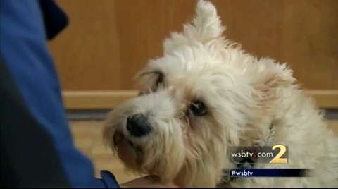 Rockets Trade Paul for Westbrook