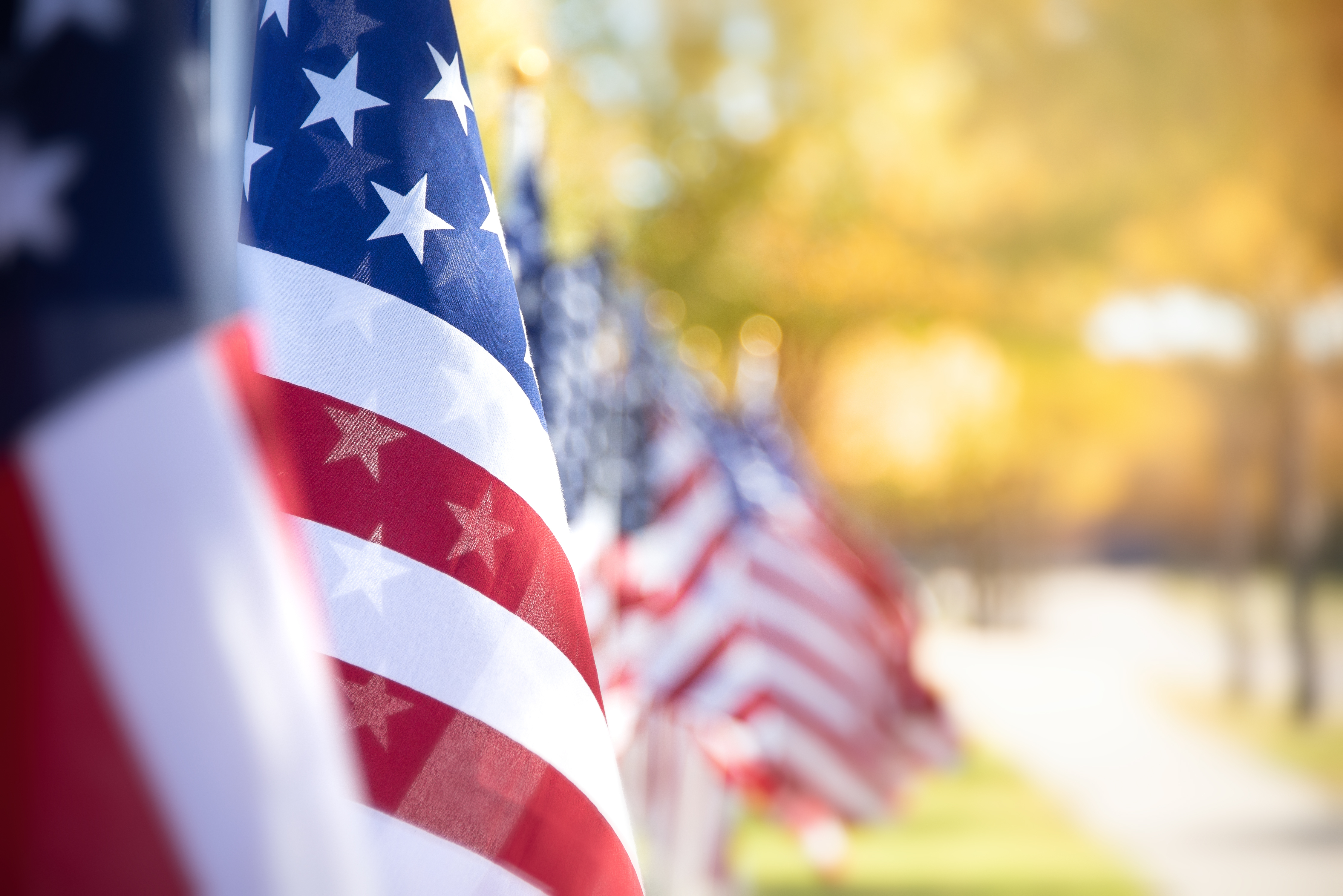 Flag Day: